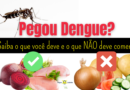 Dengue: O Que Comer e Evitar para uma Recuperação Eficiente