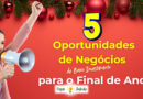 5 Oportunidades de negócio para o final de ano