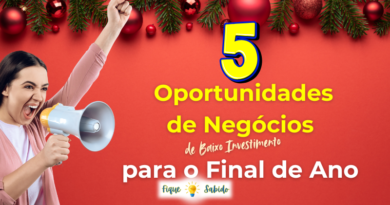 5 Oportunidades de negócio para o final de ano