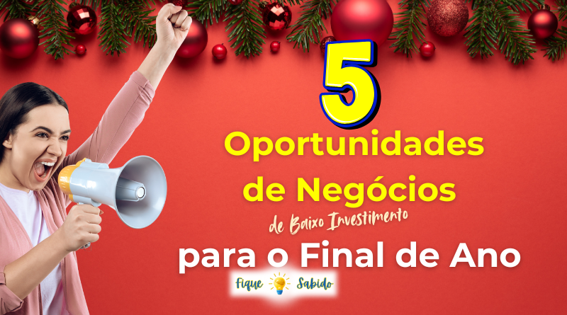 5 Oportunidades de negócio para o final de ano