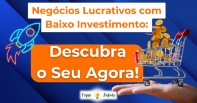 10 Ideias de Negócios Lucrativos para Começar com Pouco Investimento